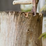 Hoe de Arabische Lente de wereld veranderde 🌍: Een verhaal van hoop