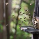 Wereld schokt: Onverwachte vondst van een eeuwenoude stad! 🏛️