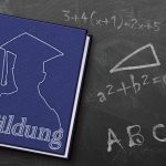 Titel: De Wereld in Rimpelingen: De Aardbeving in Haïti en de Strijd om Herstel