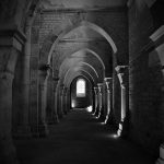 Verlies het geloof in de mensheid niet na deze schokkende gebeurtenis! 😱