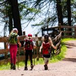 Zonnige Revolutie: Onverwachte Doorbraak in Hernieuwbare Energie Verrast de Wereld! ☀️