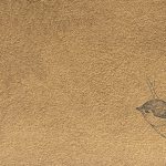 Titel: De Onvergetelijke Storm: Hoe Hurrikan Michael in 2018 Geschiedenis Schreef