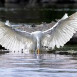 Het Jaar van Verbazing: Toen Twitter de Wereld Veranderde 🌍