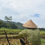 Hoe de Capitol bestorming de wereld blijvend veranderde 🇺🇸