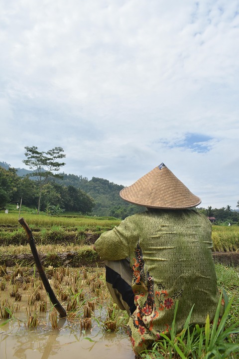 Hoe de Capitol bestorming de wereld blijvend veranderde 🇺🇸