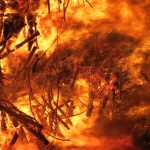 De Verwoestende Impact van 9/11: Wereldverandering in Één Dag 🌍