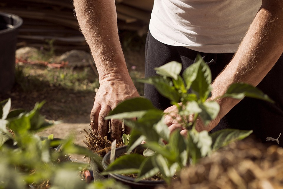 De Aarde Beweegt: Hoe de Aardbeving in Haïti Levens Veranderde 🌍