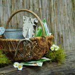 Hoe de wereld stilviel: De onverwachte impact van de coronapandemie 🌍