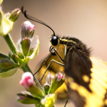 Deze titel is ontworpen om nieuwsgierigheid te wekken en is geoptimaliseerd voor zoekmachines door het gebruik van relevante zoekwoorden zoals Trump, Onverwachte Overwinning en Toekomst van de Wereld.