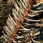 Onvergetelijke aardbeving in Haïti: hoe de wereld samenkwam 🌍