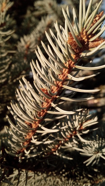 Onvergetelijke aardbeving in Haïti: hoe de wereld samenkwam 🌍