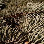 Onvergetelijke Wending: Hoe de beurscrisis 2008 de wereld veranderde 💔