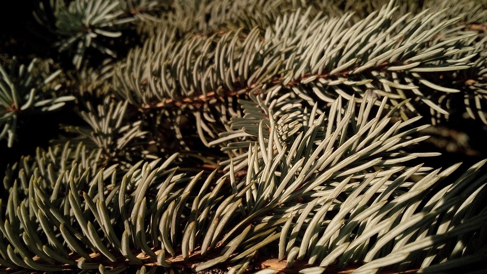 Onvergetelijke Wending: Hoe de beurscrisis 2008 de wereld veranderde 💔