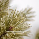 Onvergetelijke tsunami van 2004: Gelukkig toeval redt levens! 🌊