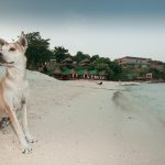 Dit zeldzame fenomeen verraste miljoenen: ontdekkingen die je moet weten! 🌍