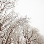 Ontdek de wereldwijde verrassing die 2025 compleet veranderde! 🌍