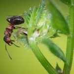 Verbazingwekkende Ruimtewandeling: Astronauten Verkennen de Onbekende Inktzwartheid 🛰️