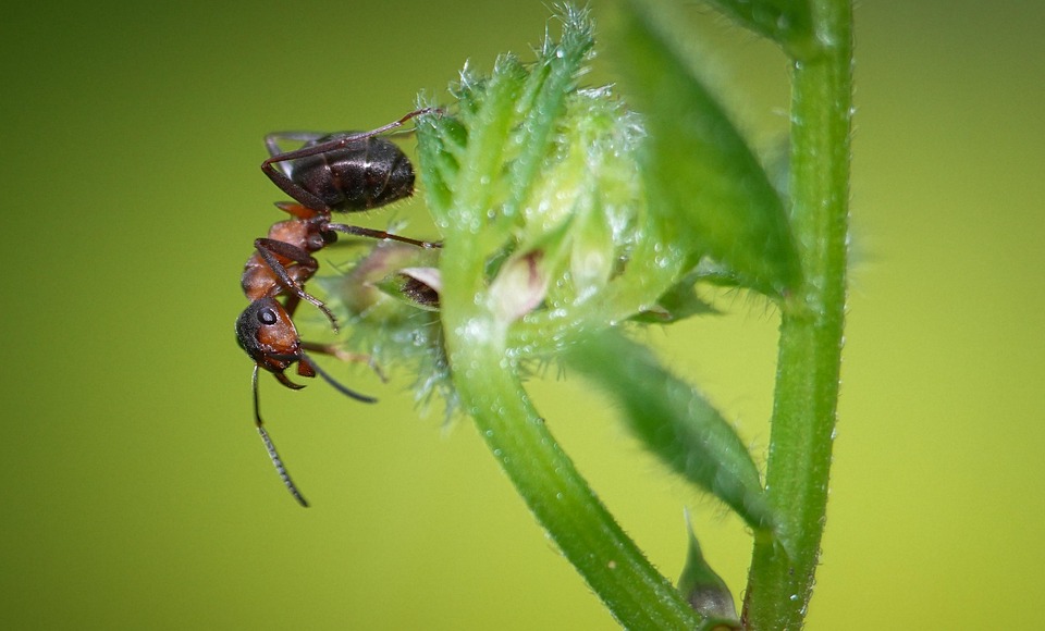 Verbazingwekkende Ruimtewandeling: Astronauten Verkennen de Onbekende Inktzwartheid 🛰️