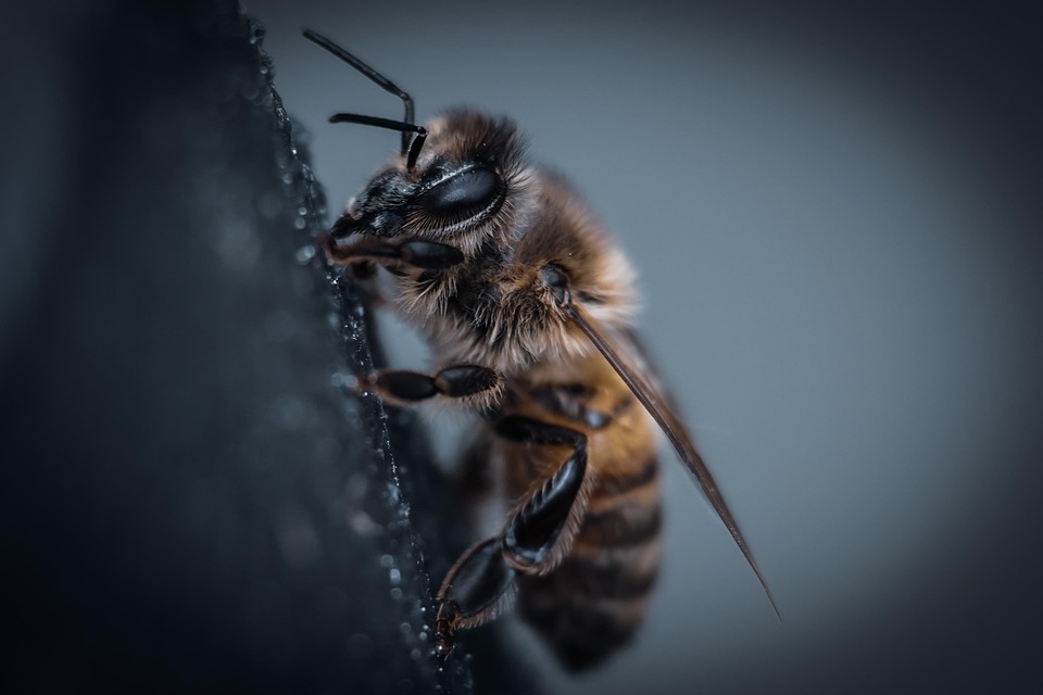 De Verbazingwekkende Ontdekking van Water op Mars: Een Nieuwe Horizon! 🚀