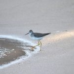 Verbluffende ontdekking: Onderwaterstad gevonden in de Atlantische Oceaan! 🌊