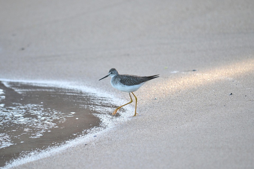 Verbluffende ontdekking: Onderwaterstad gevonden in de Atlantische Oceaan! 🌊