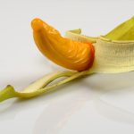 De onverwachte ontsnapping: Hoe een panda de wereld verraste 🐼