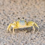 Het Onverwachte Wonder: De Magie van de Marslanding in 2001 🌌