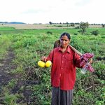 Hoe een mysterieuze zeestorm de wereld in verwarring bracht 🌊