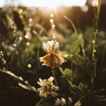 De Verbazingwekkende Overwinning van Nederland op Rusland: Een Sportieve Sensatie! 🎉