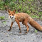 Een Uitzonderlijke Zomer: Hoe de Zonnenbrand in 2000 de Wereld Veranderde ☀️