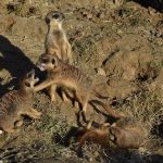 De Schatten van de Grote Financiële Crisis: Hoe 2008 de Wereld Veranderde 💔