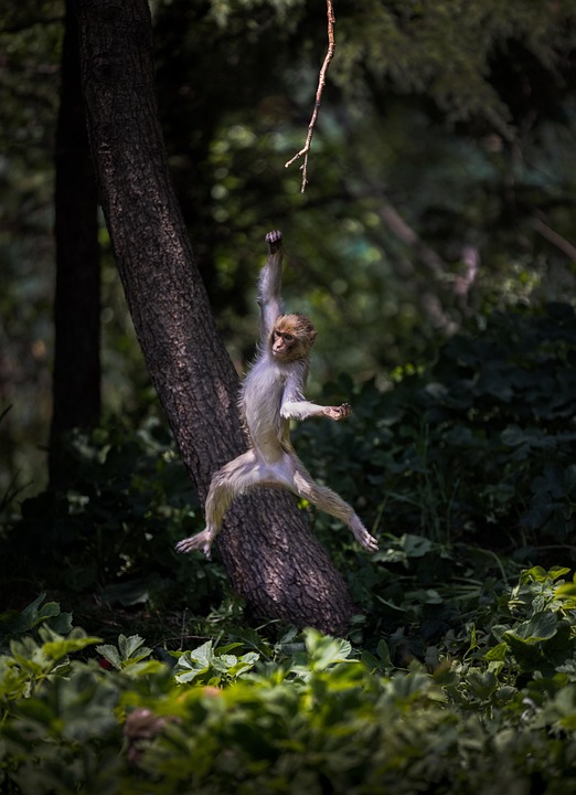 Ontdek de verrassende ontdekking die de wereld in 2025 veranderde! 🌍