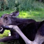 Verbazingwekkende Ruimtewandeling: Ontdek het Onbekende van 2025! 🚀