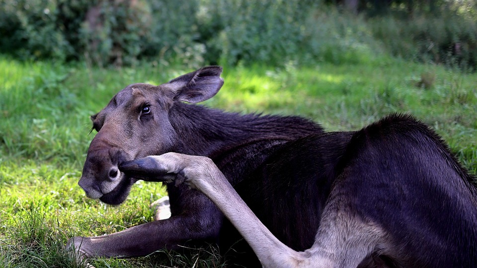 Verbazingwekkende Ruimtewandeling: Ontdek het Onbekende van 2025! 🚀