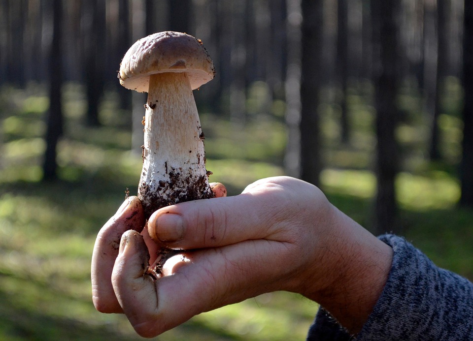 Verbijsterende onthulling: dit gebeurde er in 2014! π