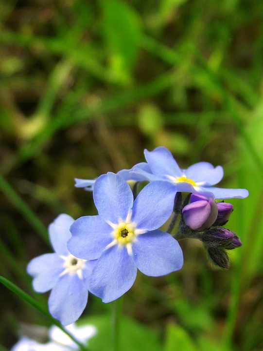 Onvergetelijke tsunami verwoest Azië: De wereld in shock! 🌊