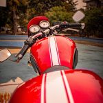 Verbluffende Triomf: Hoe Brexit de Wereld op Zijn Kop Zet 🌍