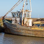 Ontmoet de eerste echte hologram artiest! 🌟 Verander je muziekervaring!