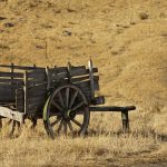 Hoe een Dodelijke Pandémie de Wereld in 2021 Veranderde 🌍