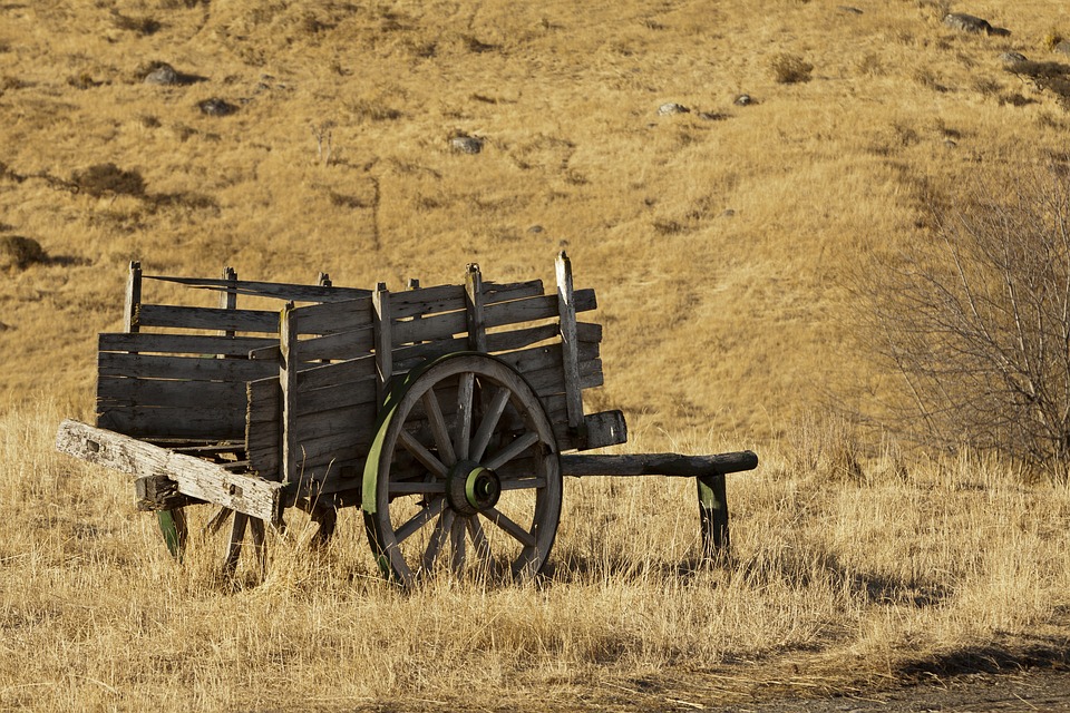 Hoe een Dodelijke Pandémie de Wereld in 2021 Veranderde 🌍