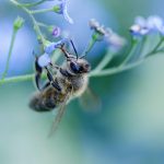 De Wereld Schokte: Het Mysterie van de Mars-aanslagen 🚀