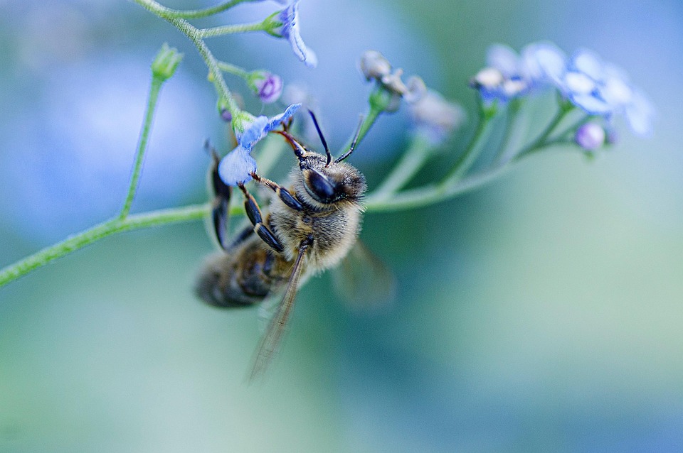 De Wereld Schokte: Het Mysterie van de Mars-aanslagen 🚀
