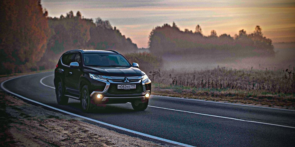 Verbazingwekkende ontdekking: Nieuwe dinosaurusspecies verstopt in de Andes! π¦