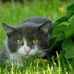 Ontdek Hoe Eén Moment in 2006 de Wereld Veranderde! 🌍