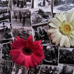 Cloudflare’s heldhaftige bescherming van verkiezingen: Cyberaanvallen afgeslagen! 🛡️