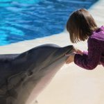 Verbluffende Marsmissie onthult geheimen van het universum! 🌌