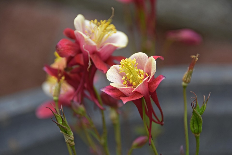 De Verbeterde Wereld: Hoe 2014 Ons Leerde Samen te Strijden 🌍