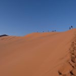 Ontdek de Magische Nacht van de Verbazing: Het Brexit Referendum 🌍