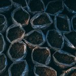 De Aarde Beweegt: De Schokkende Tsunami in Japan en Zijn Impact 🌊