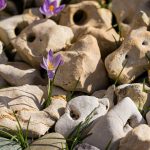 Onverwachte Doorbraak: Nederland wint het Wereldkampioenschap Amputatievoetbal! ⚽️